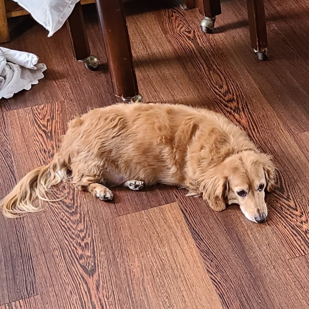 Meet your Posher, Jay